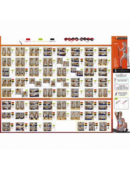 Pack de 4 Elastiband